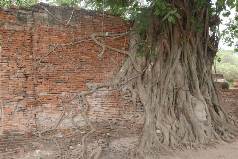 historische_Tempel_ayutthaya_travel2eat (7)