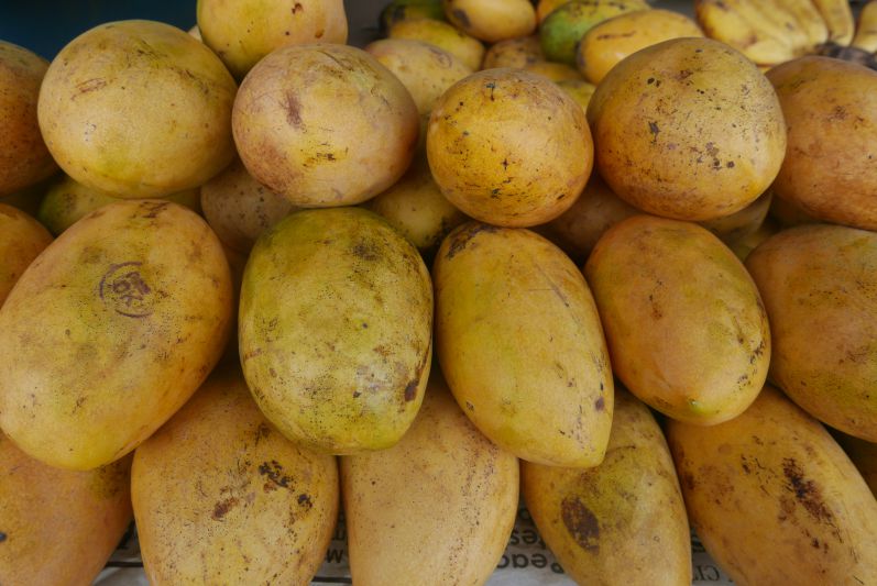 Mangos Puerto Princesa