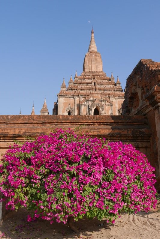 Tempel_Bagan_Myanmar_travel2eat (2)