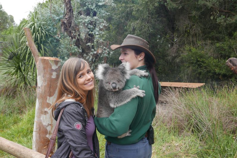 Koalas_Caversham Wildlife Park_Perth_travel2eat (1)