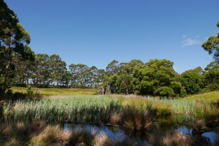 Tasmanien: das Männer- und Jungen-Gefängnis Port Arthur ...