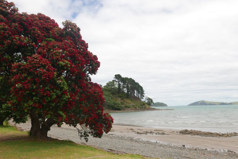 Wanderwege_Coromandel_Town_Neuseeland_travel2eat (6)