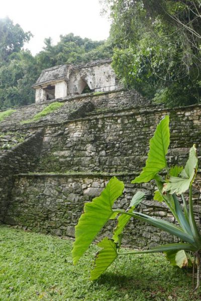 Palenque